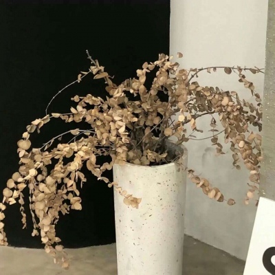 兽设零基础绘画教程兽圈社群